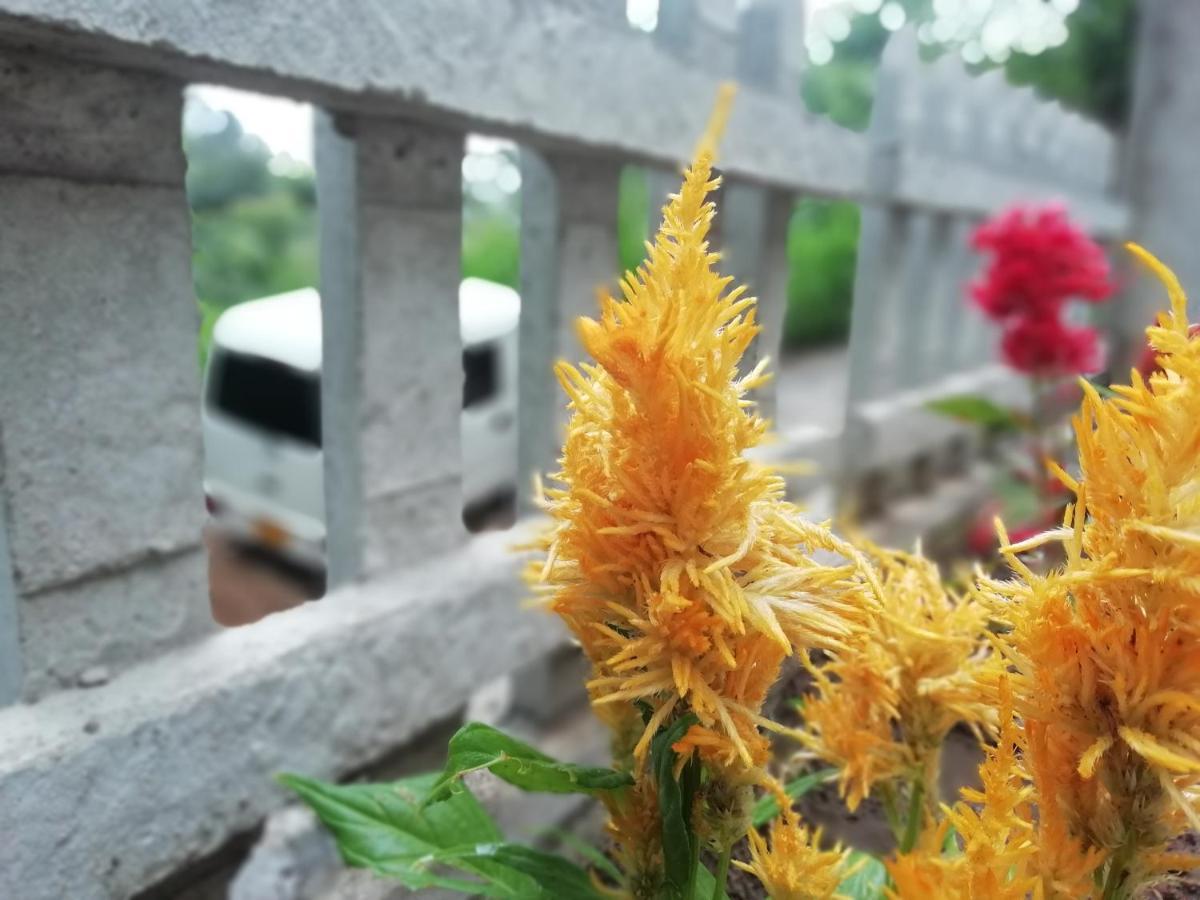 Ella Delightful Surround Homestay 外观 照片