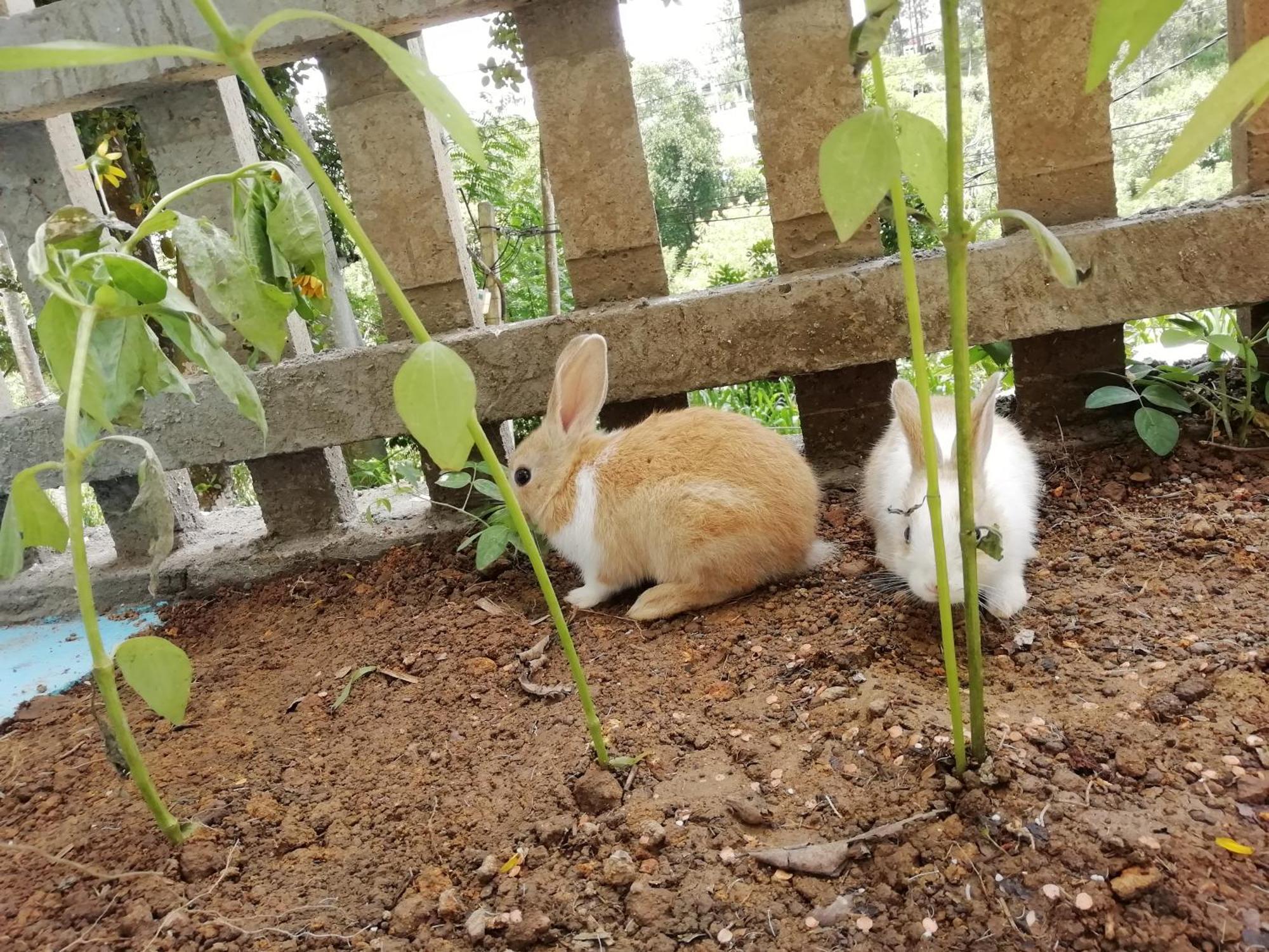 Ella Delightful Surround Homestay 外观 照片